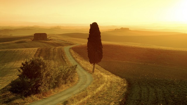 Tuscan Landscape at Sunrise Italy 