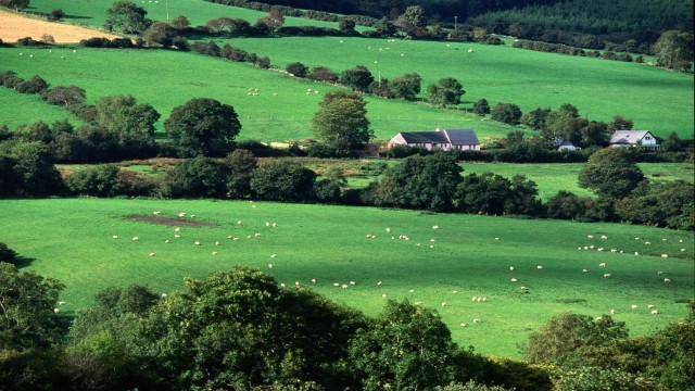 Fields and Farmhouses of County Cork, Ireland desktop background