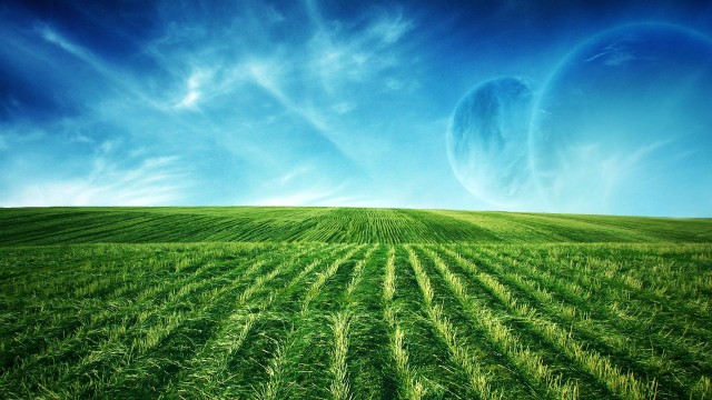 field, grass, planets, sky 