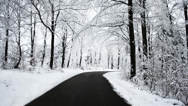 nature, snow, winter, season, hd, trees, forest, road 