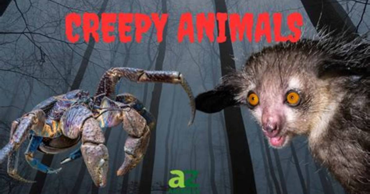 10 Creepiest and Strangest Animals in the World