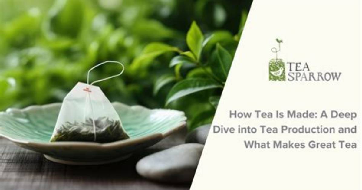 A Deep Dive into the Aurora Tea Garden Cast