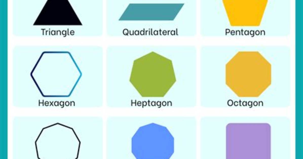 A Guide to Their Iconic Shape