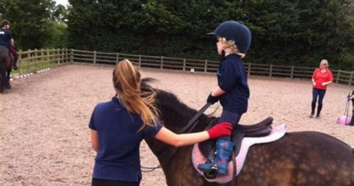 A Haven for Equestrian Delights