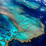 A Journey into Nature's Largest Living Wonder