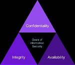 A Journey into Privacy, Authenticity, and Public Image