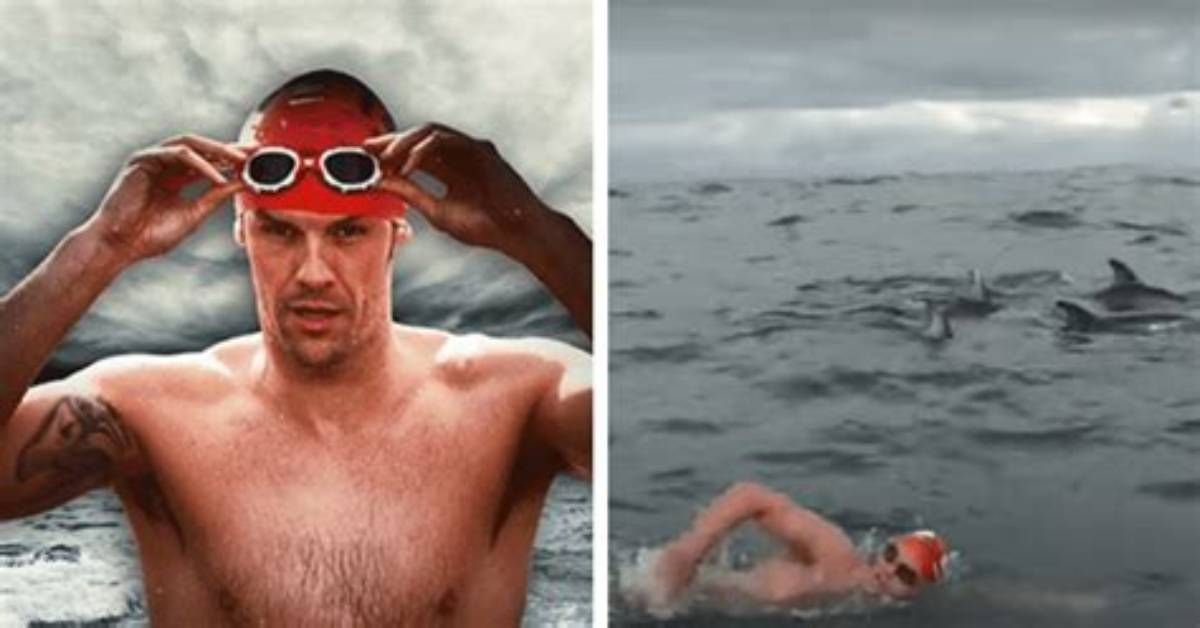Adam Walker: Swimmer Saved by ‘Hero’ Dolphins Who Chased off Deadly Shark Poised to Attack Him