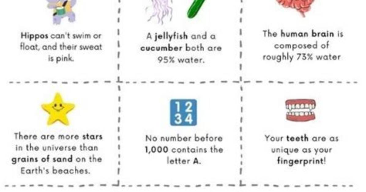 Age and Other Interesting Facts