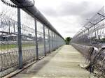 Age, Parole, and Beyond in 2034