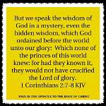 Age, Wisdom, and Unstoppable Spirit Revealed