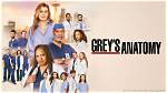 Alex Grey: from "Grey's Anatomy" to Acting Success