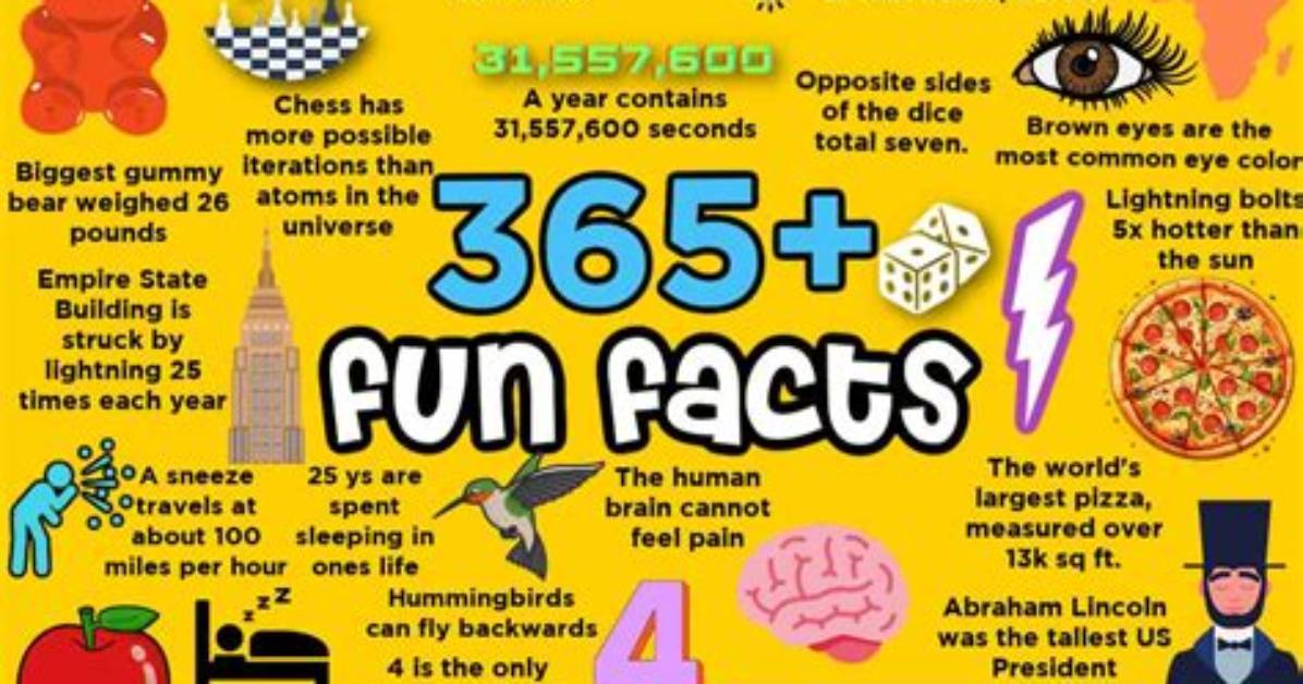 All the Facts You Need to Know About Ethan Ralph's Wikipedia Page
