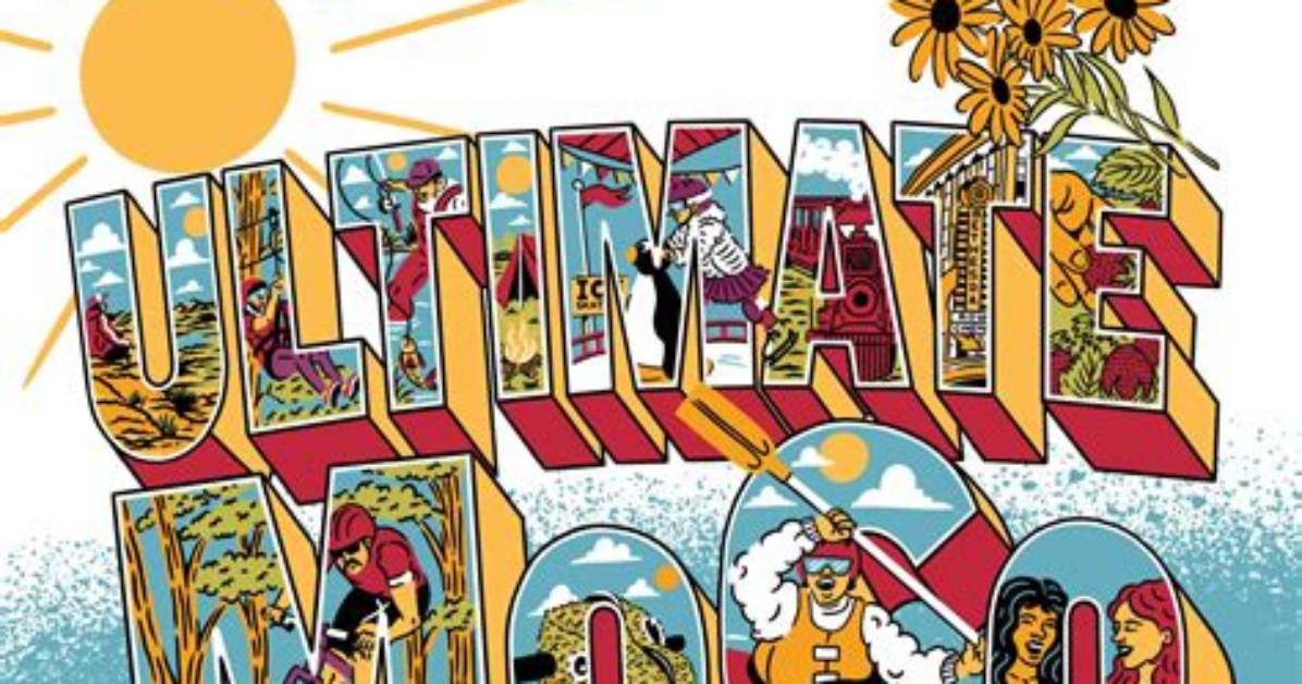 An Insider's Guide for Andi13 Enthusiasts