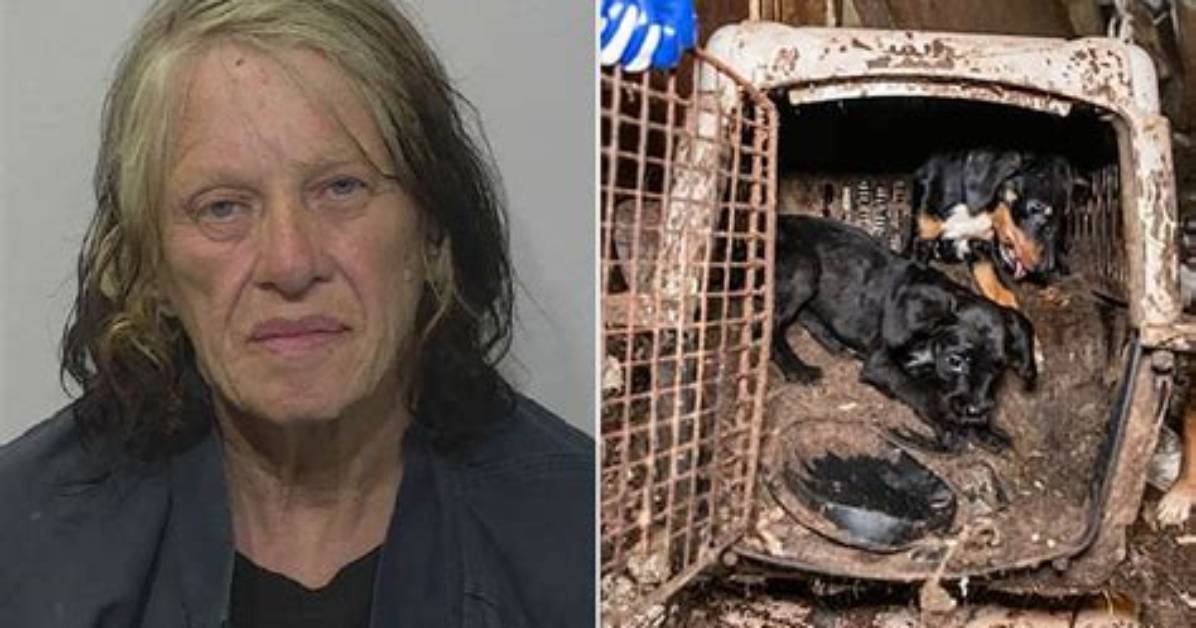 Anna Ray Arrested for Animal Cruelty on Multiple Counts