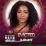 Bbnaija (Big Brother Naija) 2022 Remaining/Evicted Housemates Today So Far