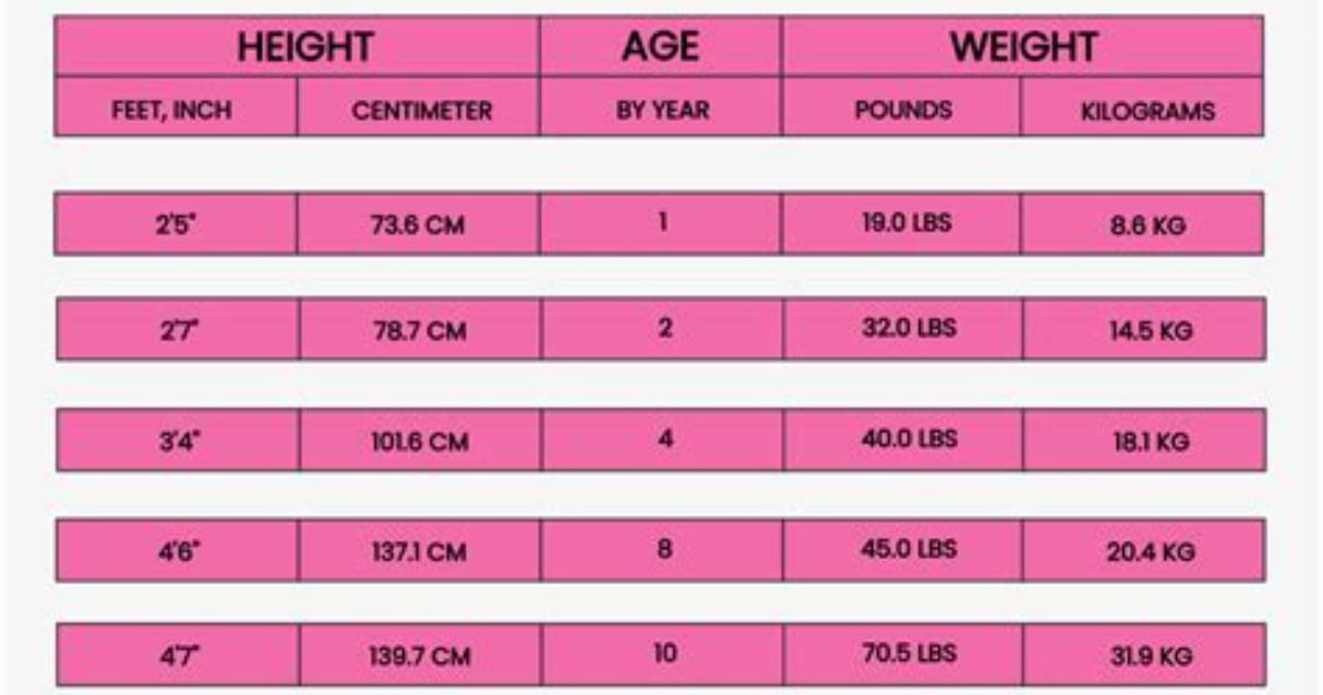 C%C3%A9Line Nha Nguyen Height Weight Net Worth 150. Jpg