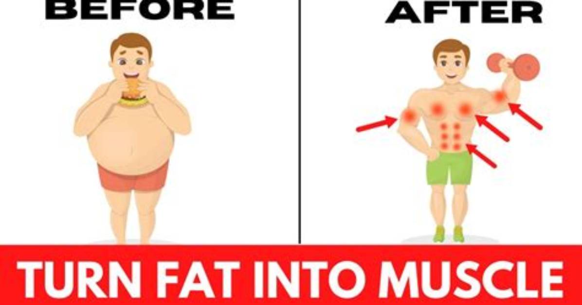 Can Your Body Really Turn Fat into Protein? the Ultimate Guide to Macronutrient Conversion