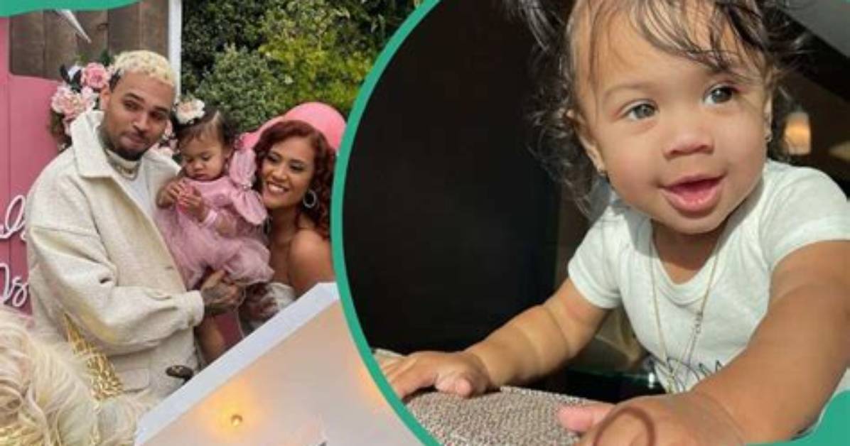 Chris Brown's Baby Mothers: a Comprehensive Overview