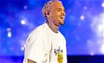 Chris Brown's Net Worth: an Impressive Fortune