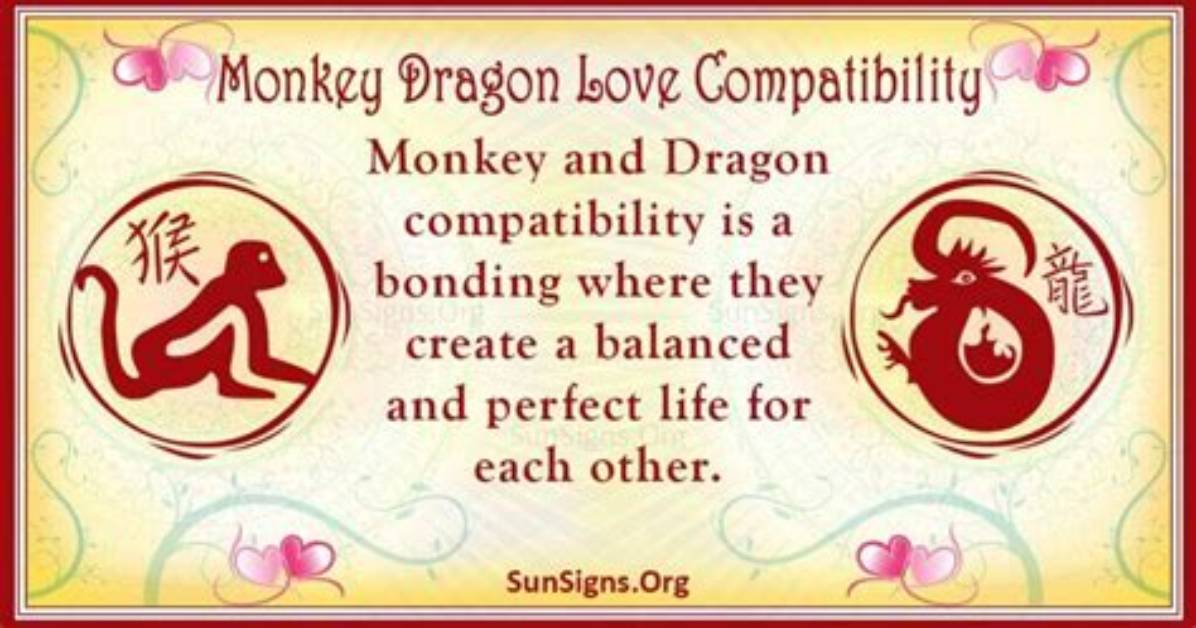Compatibility Secrets of the Dragon and Monkey: a Zodiac Guide