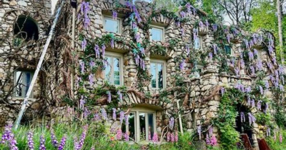 Daschner Castle: Uncover the Secrets of This Historic Gem