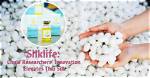 Delve into the Secrets of Silk Net Worth