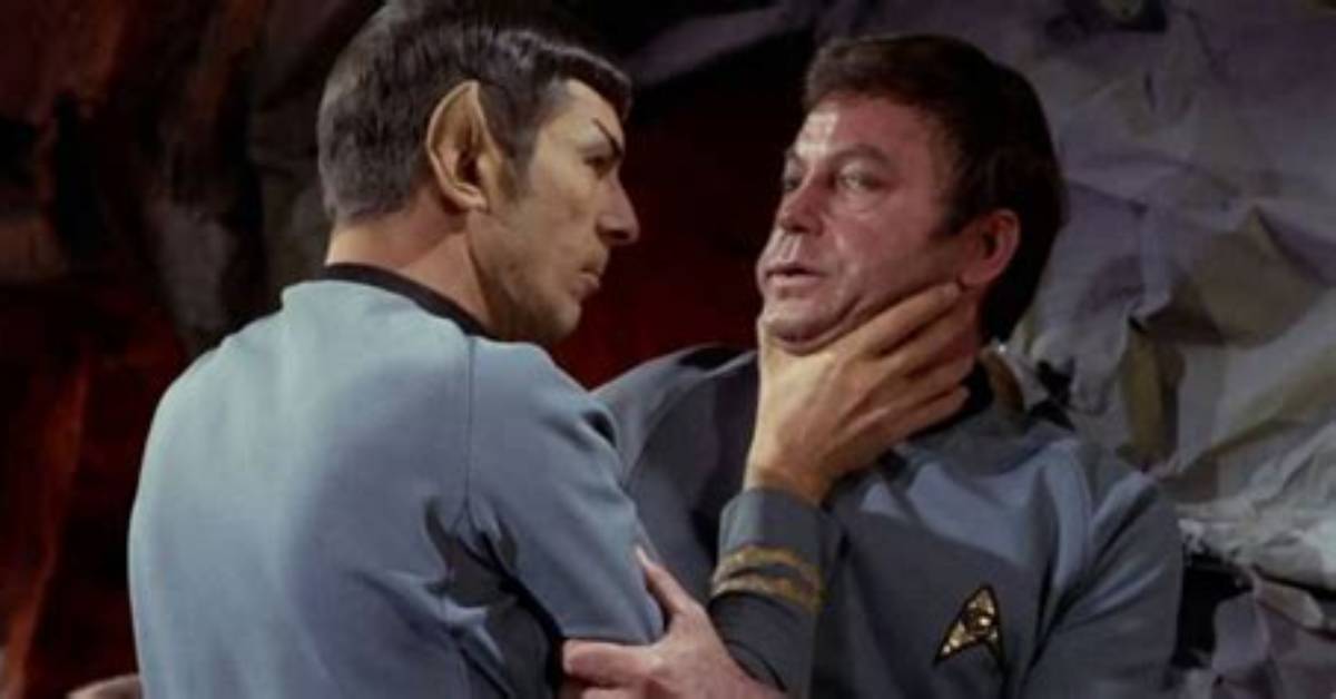 Did Dr. Mccoy Find True Love?