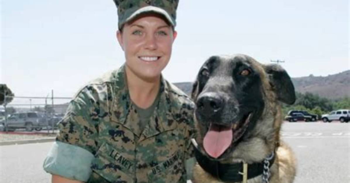 Did Megan Leavey Marry Matt Morales in Real Life? Unveiling the Truth