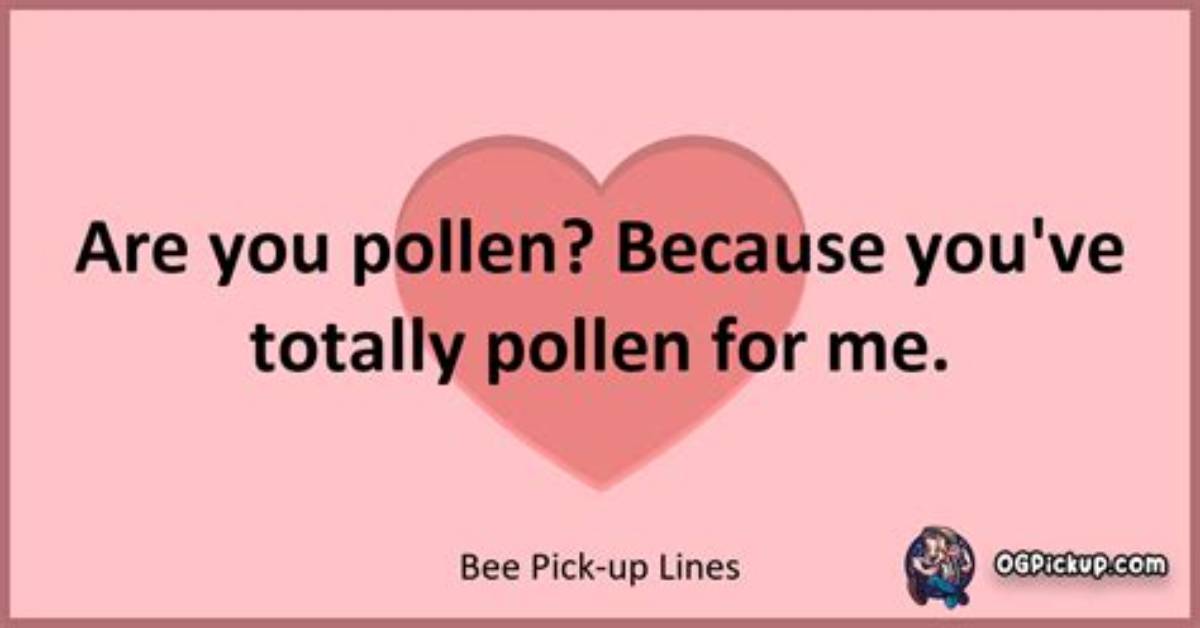 Discover Irresistible Bee Chat-up Lines