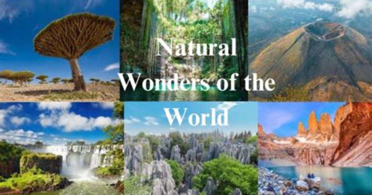 Discover Nature's Wonders and Community Spirit