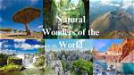 Discover Nature's Wonders and Community Spirit