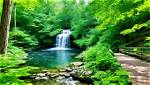 Discover Rockford's Hidden Gems: Explore Beyond the Games