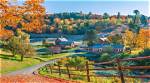 Discover the a-Listers Hiding Away in the Green Mountains: Celebrities Living in Vermont