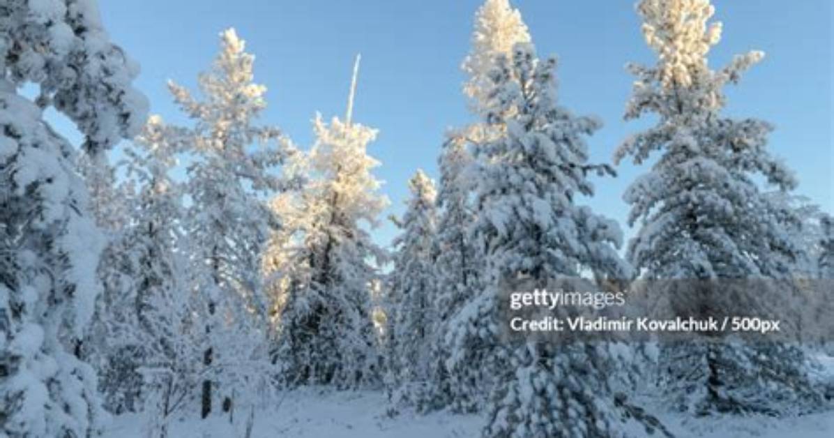 Discover the Enigmatic Yamal Peninsula: a Journey into Untamed Wilderness