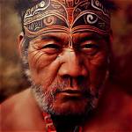 Discover the Inspiring Maori Heritage of Max Holloway