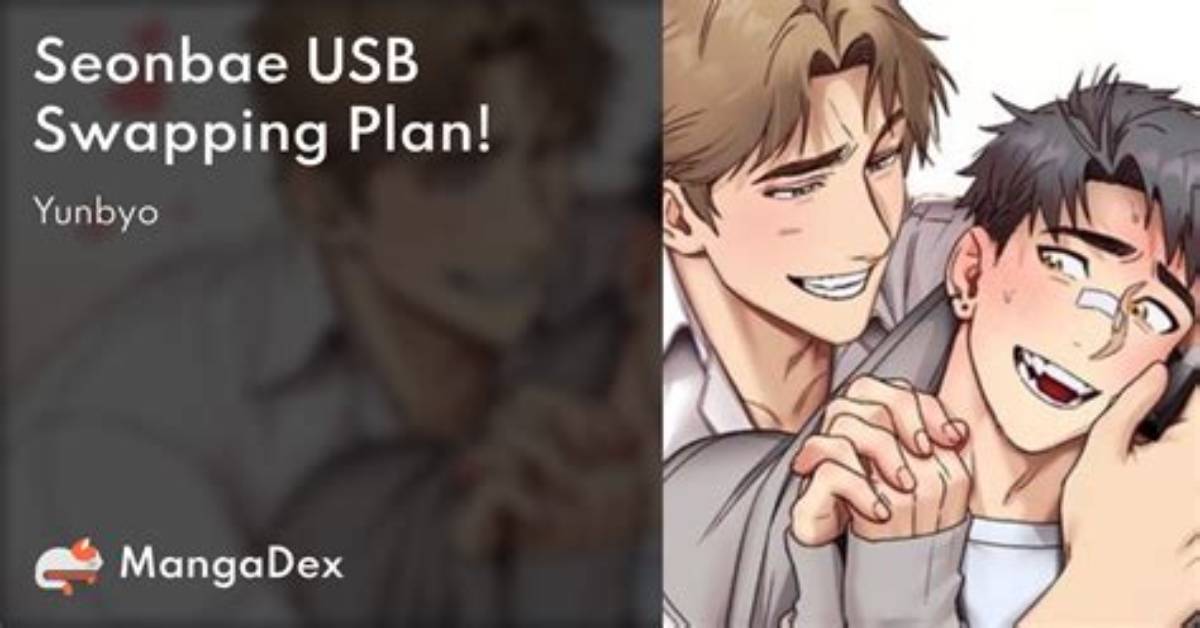 Discover the Seonbae Usb Swapping