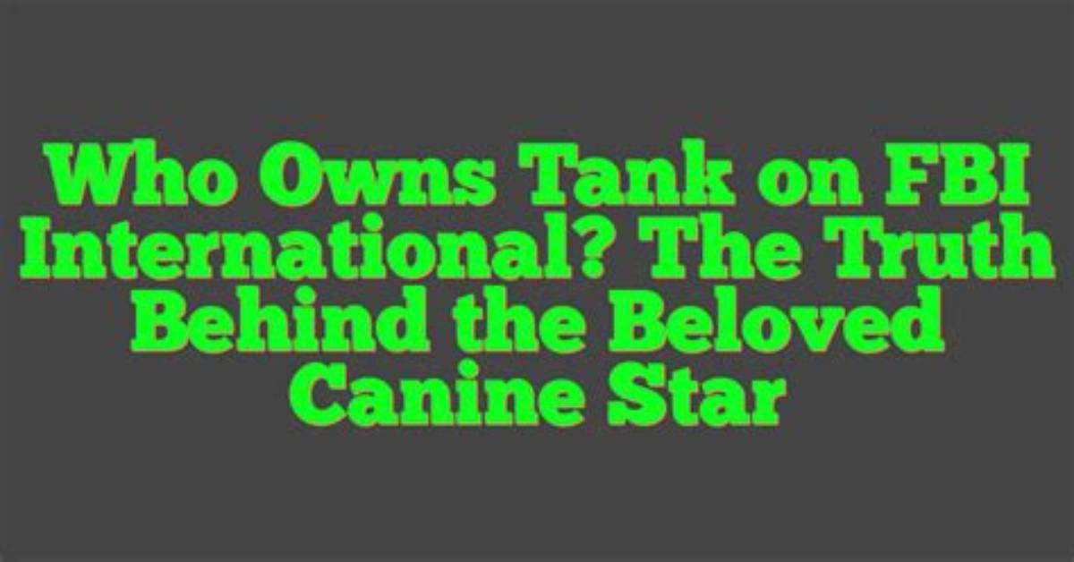 Discover the Truth: Is the Beloved Dog from "Mike and Molly" Still Alive?