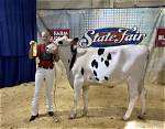 Discover Unforgettable State Fair Cow Names: a Comprehensive Guide