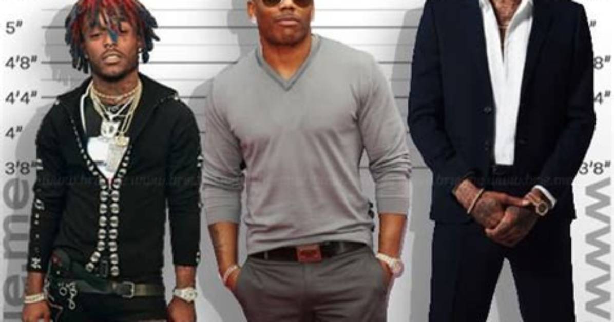 Discovering Nelly's Height: How Tall Is Nelly?