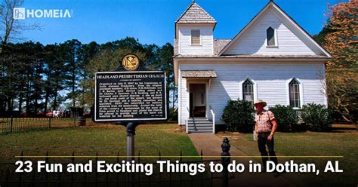 Discovering Skipthegames in Dothan, Al: a Local Perspective