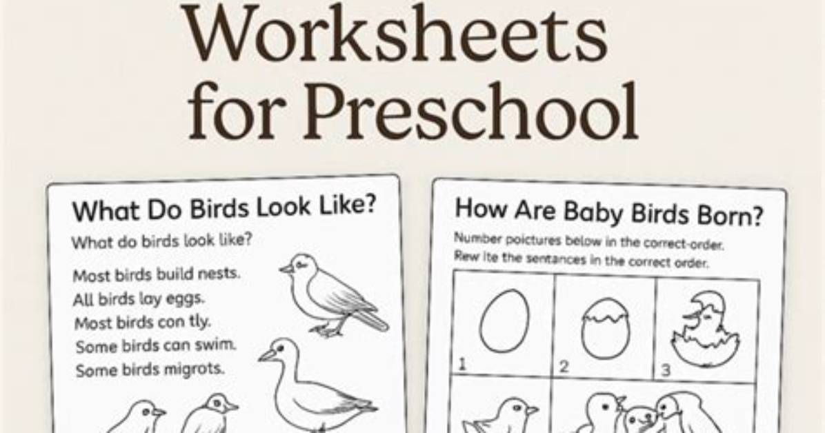 Discovering the Fascinating World of Hannaowo