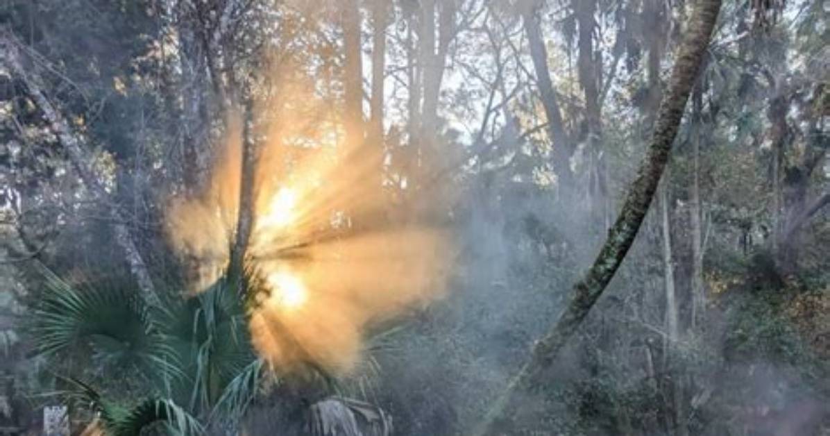 Discovering the Hidden Gem of Ocala: Skip the Games