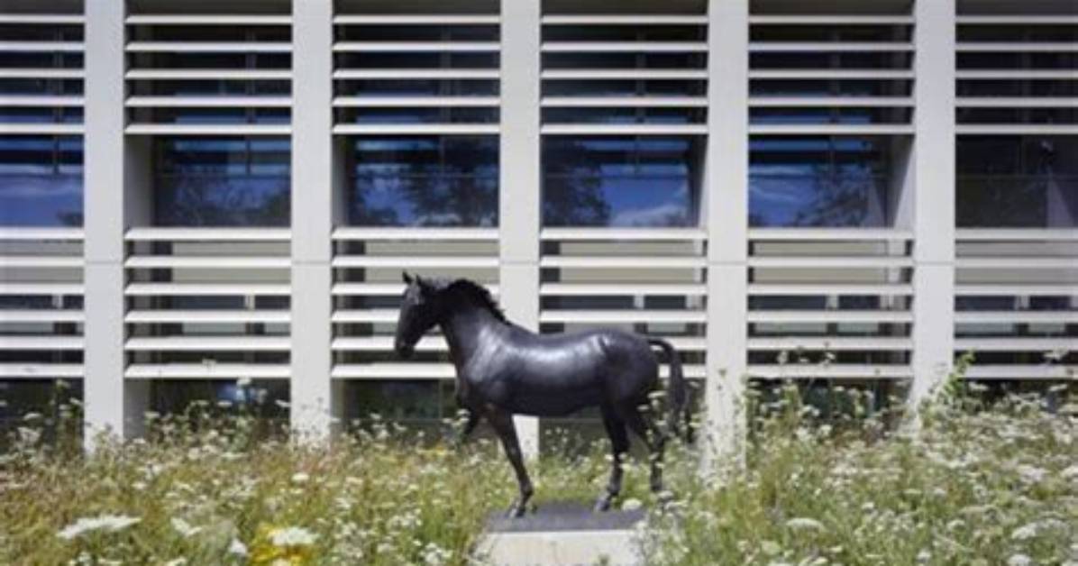 Discovering the Life and Legacy of Peter Heartland