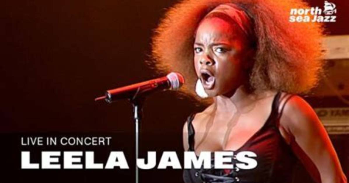 Discovering the Soulful Sound of Stephan Jenkins