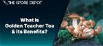 Discovering the Wonders of Golden Teacher Tea