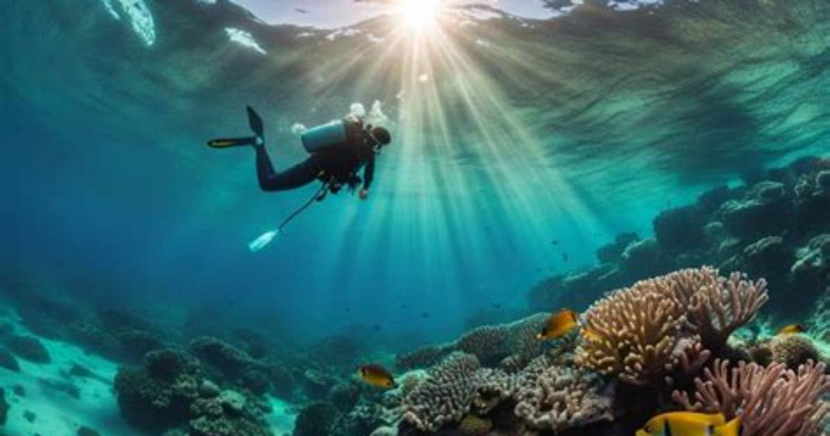 Dive into the World of Photography with Sunao Adelstein, Master Lensman
