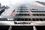 Does Trump Like Blackrock? a Deep Dive into Their Relationship