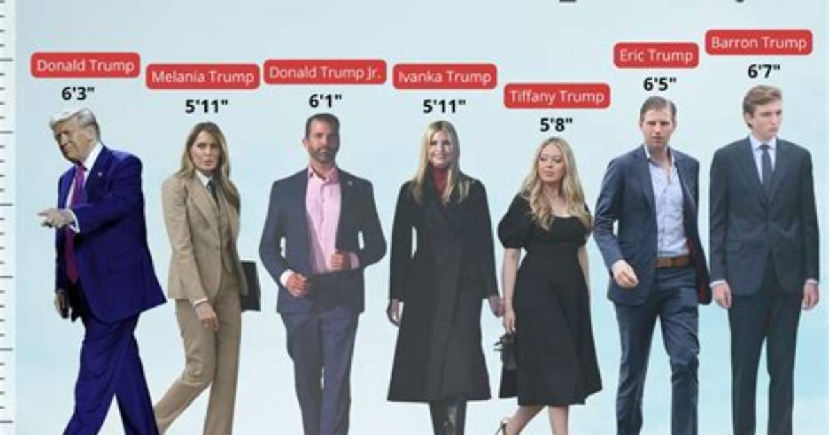 Donald Trump's Height: a Detailed Analysis