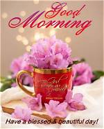 Embracing the Beauty of a Good Morning Raining Day
