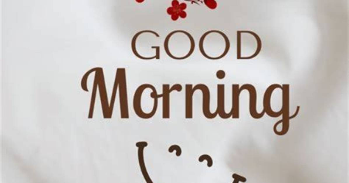Embracing the Charm of a Good Morning on a Rainy Day